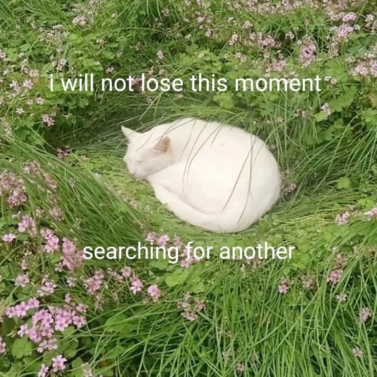 feel